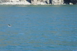 Click for a larger view
