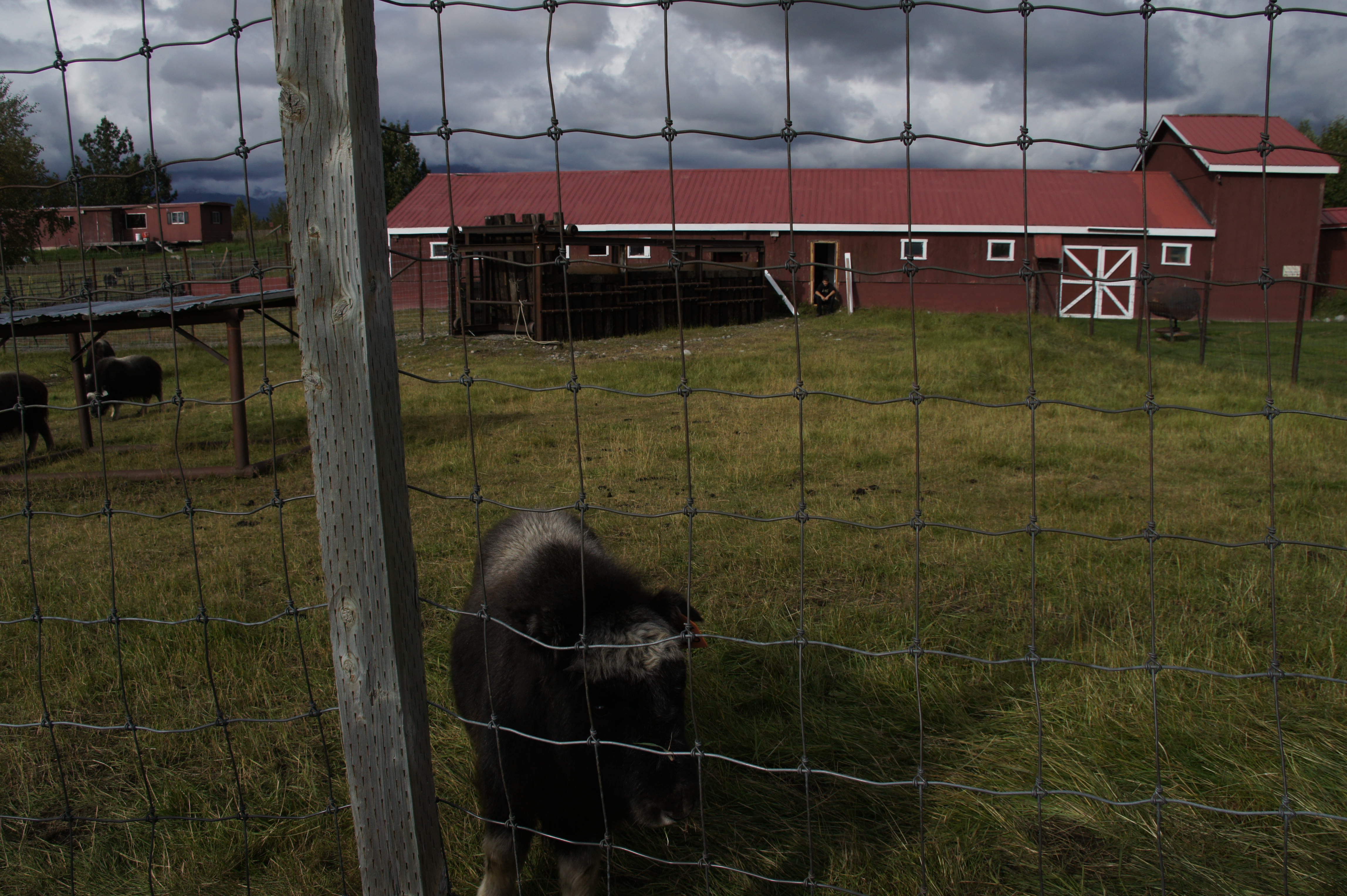 Click to return to the thumbnail index
