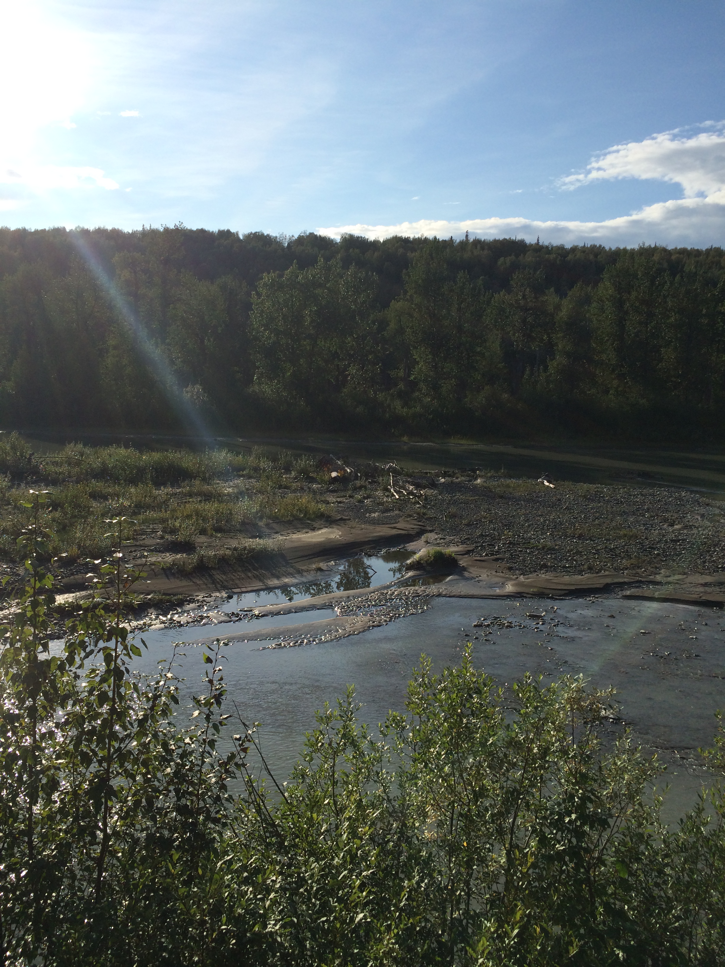Click to return to the thumbnail index