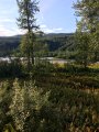 Click for a larger view