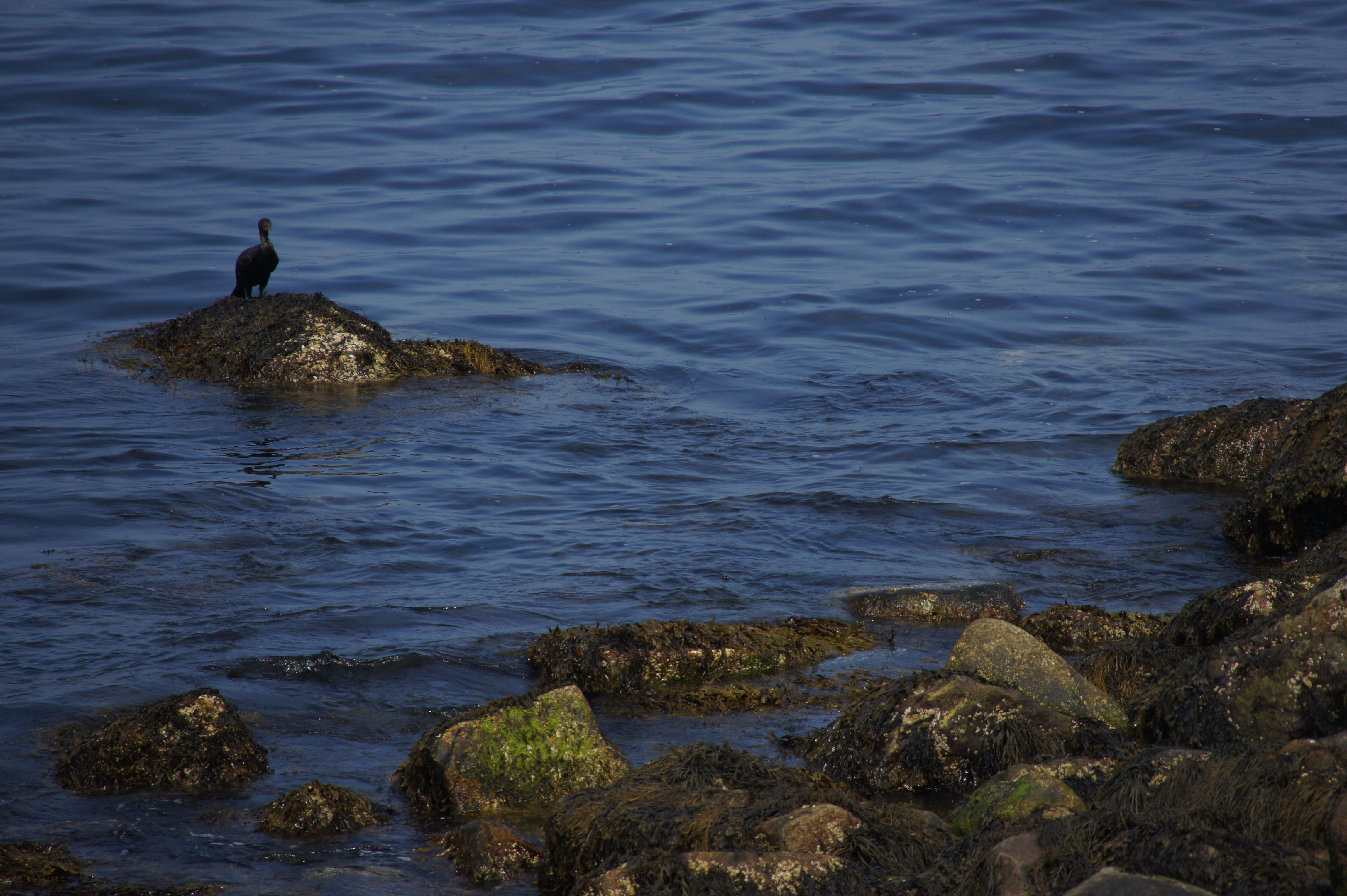 Click to return to the thumbnail index