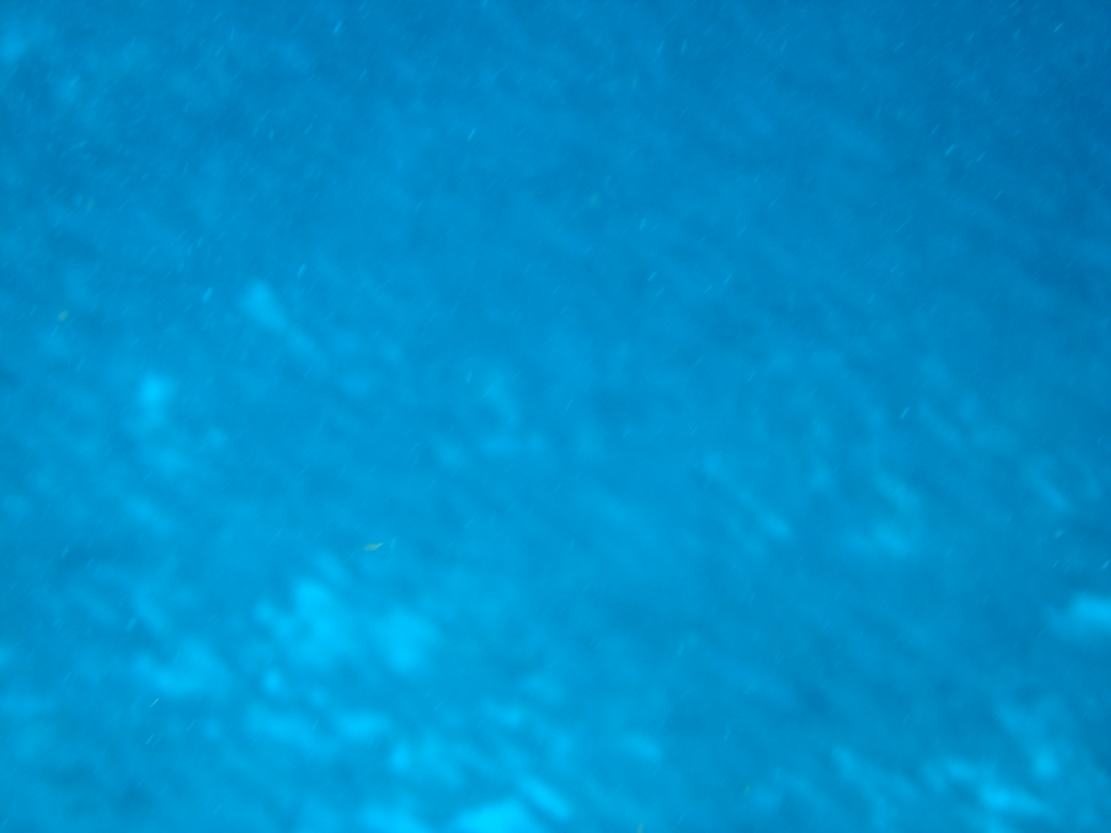 Click to return to the thumbnail index