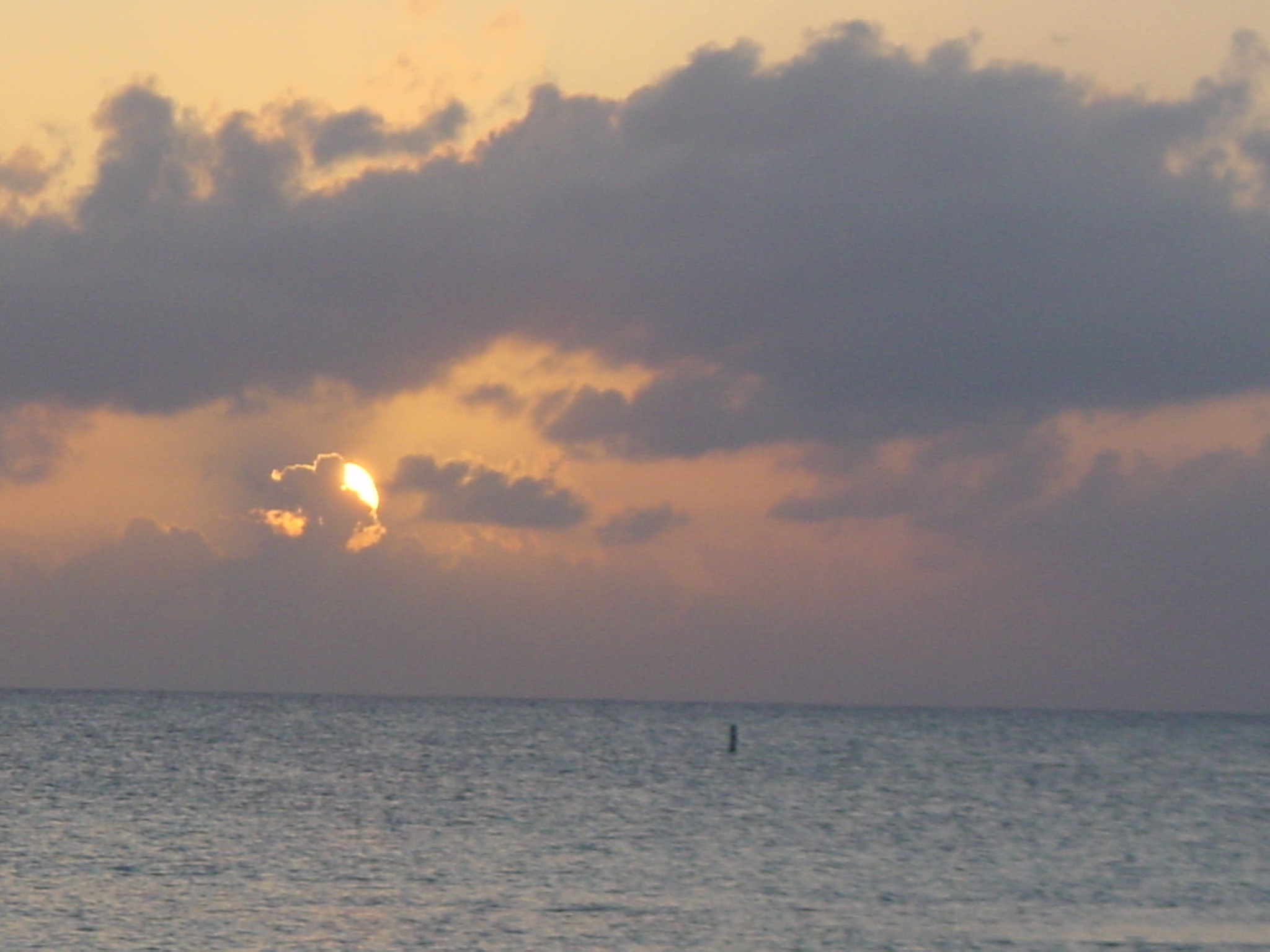 Click to return to the thumbnail index