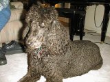 Click for a larger view