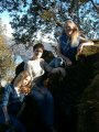 Click for a larger view