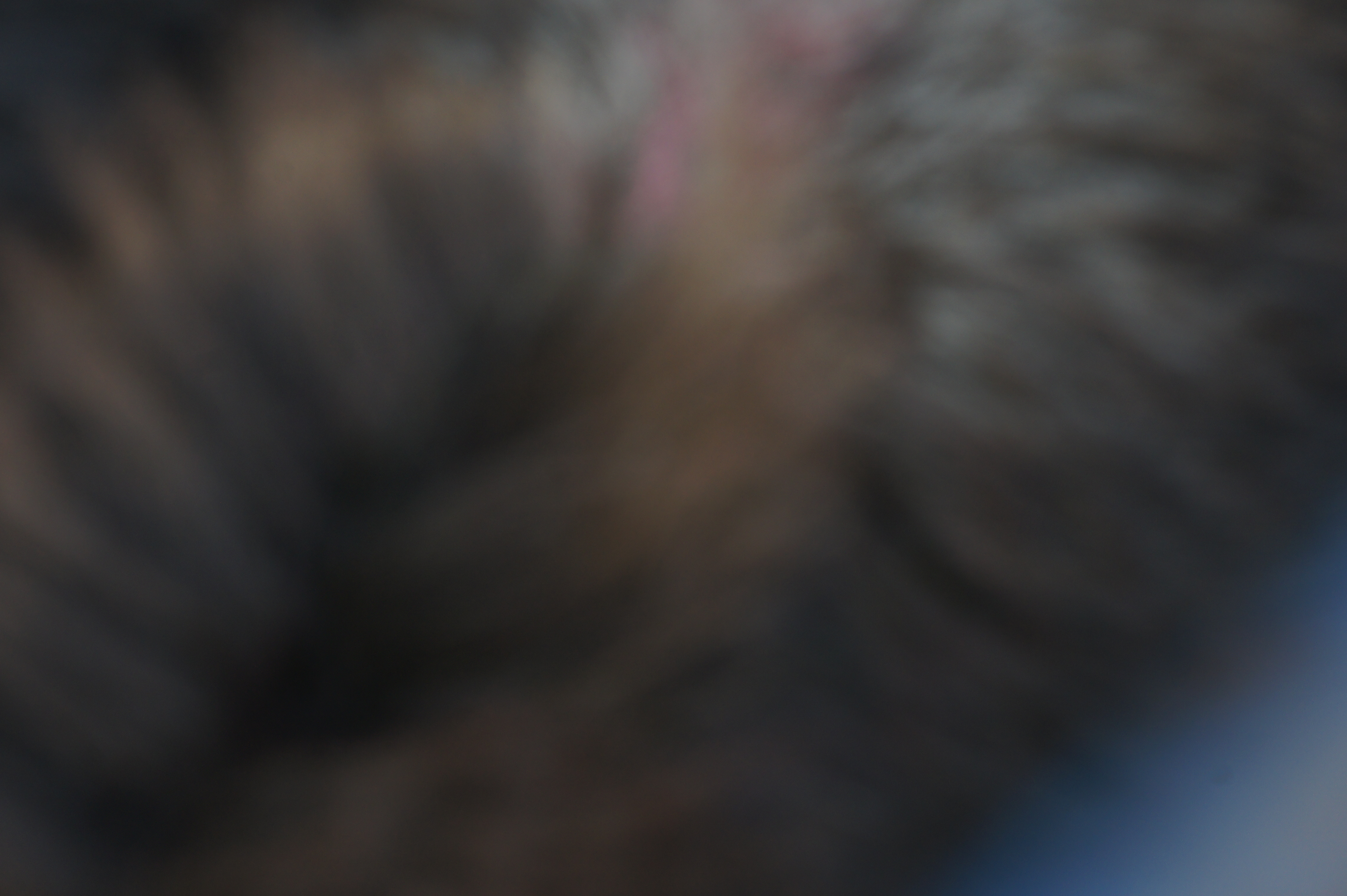 Click to return to the thumbnail index