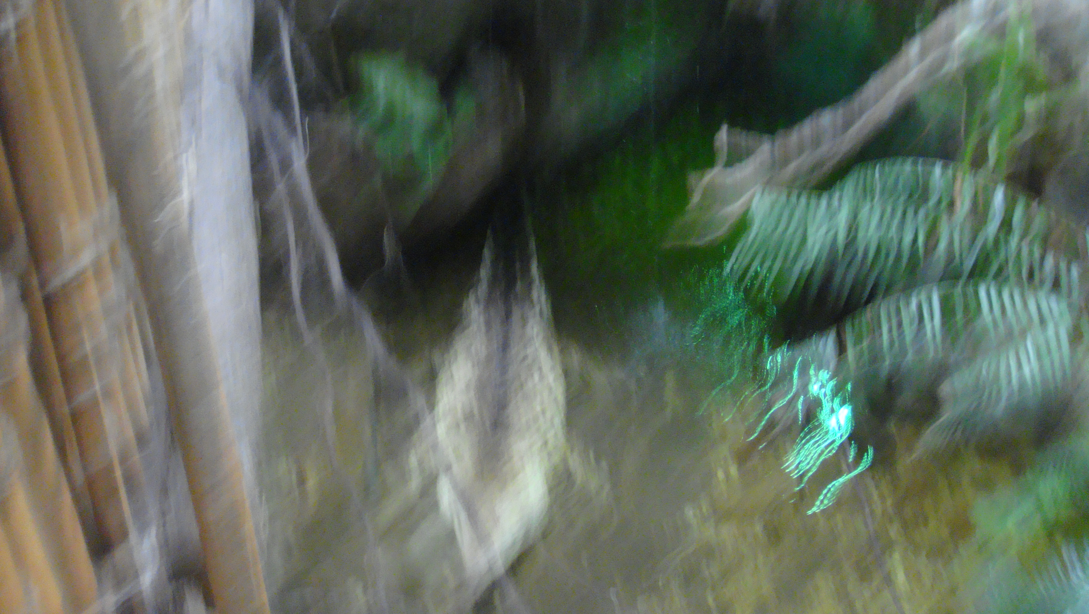 Click to return to the thumbnail index