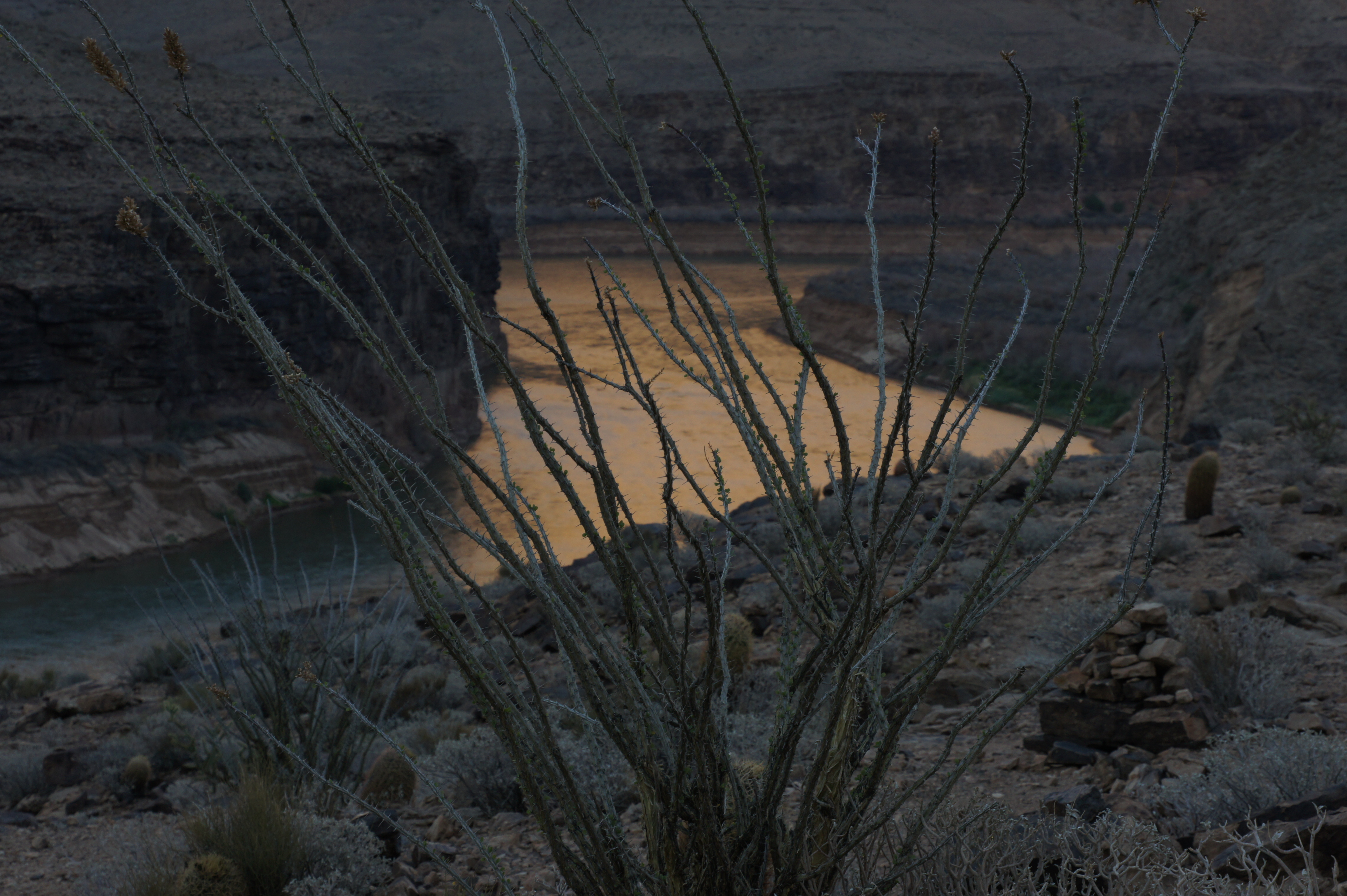 Click to return to the thumbnail index