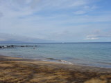 Click for a larger view