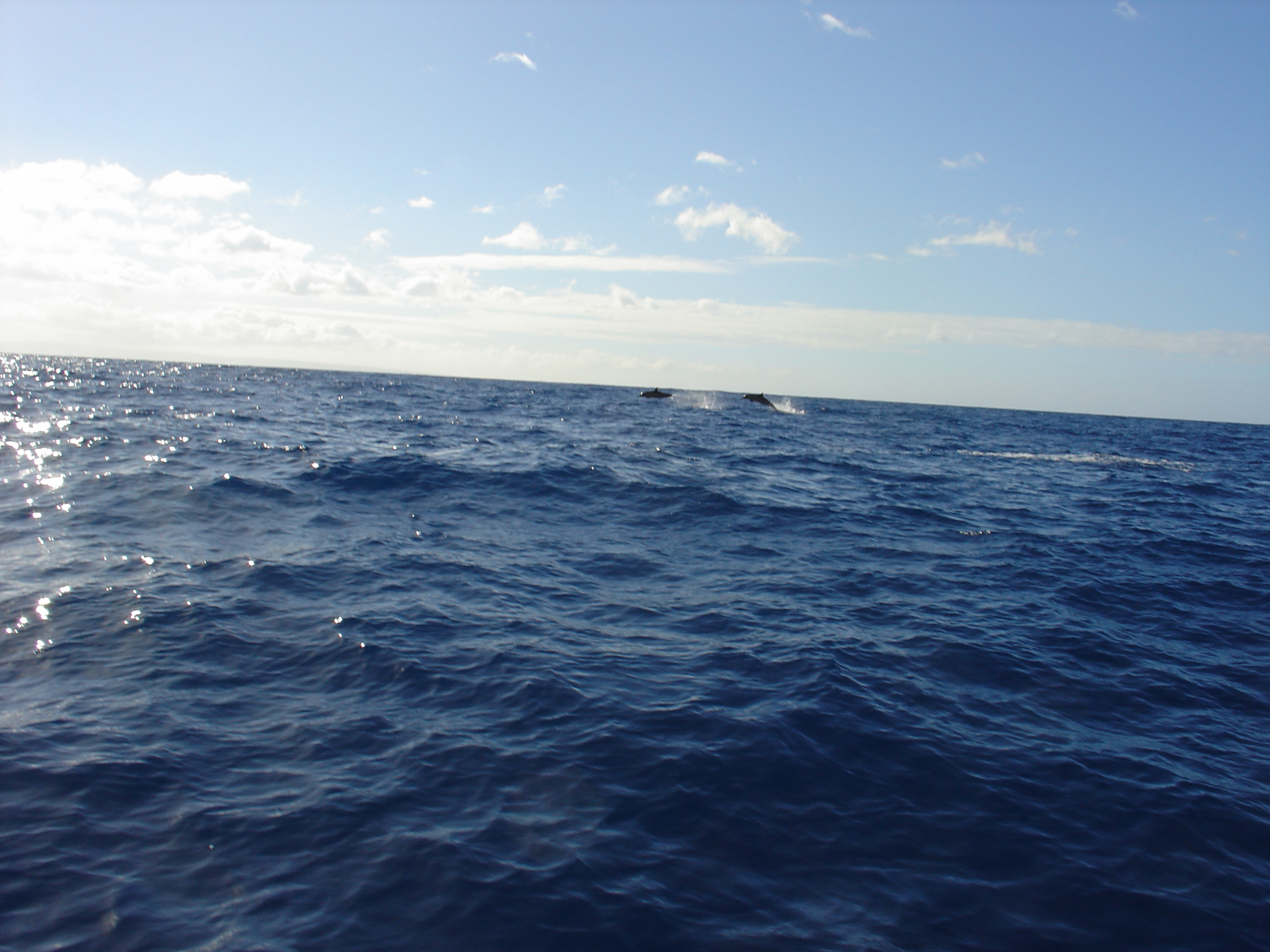 Click to return to the thumbnail index
