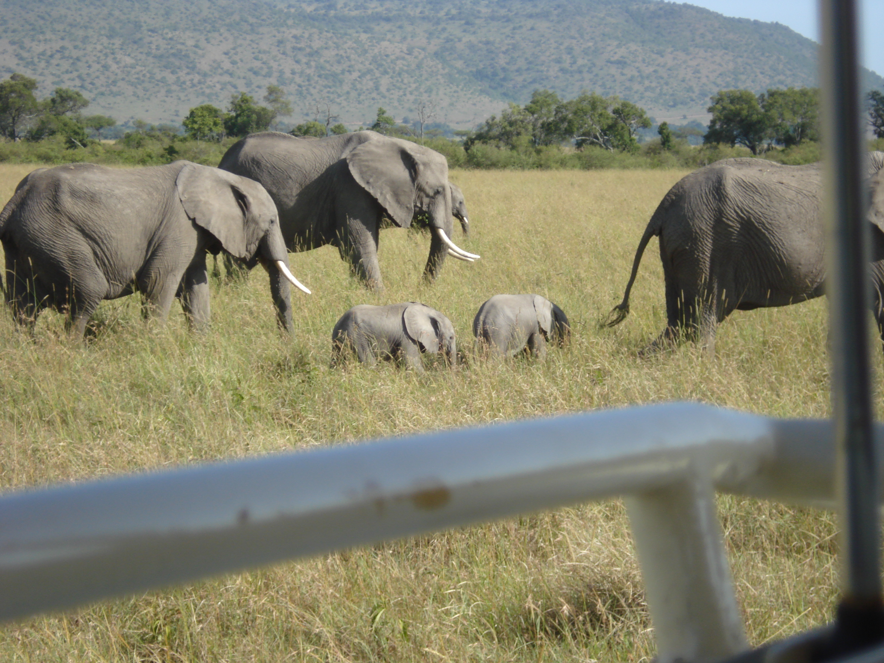 Click to return to the thumbnail index