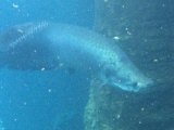 Click for a larger view