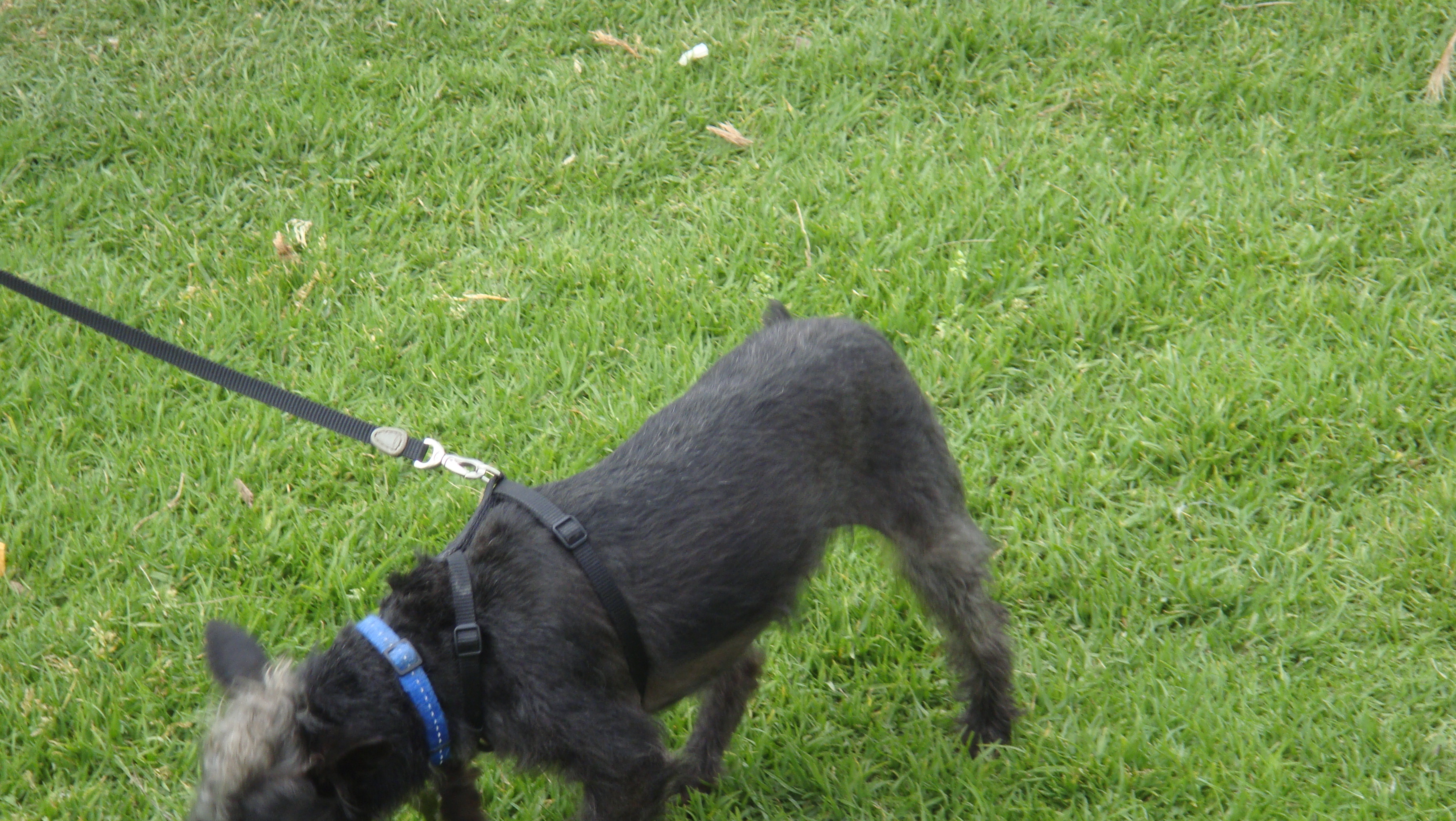Click to return to the thumbnail index