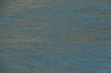 Click for a larger view