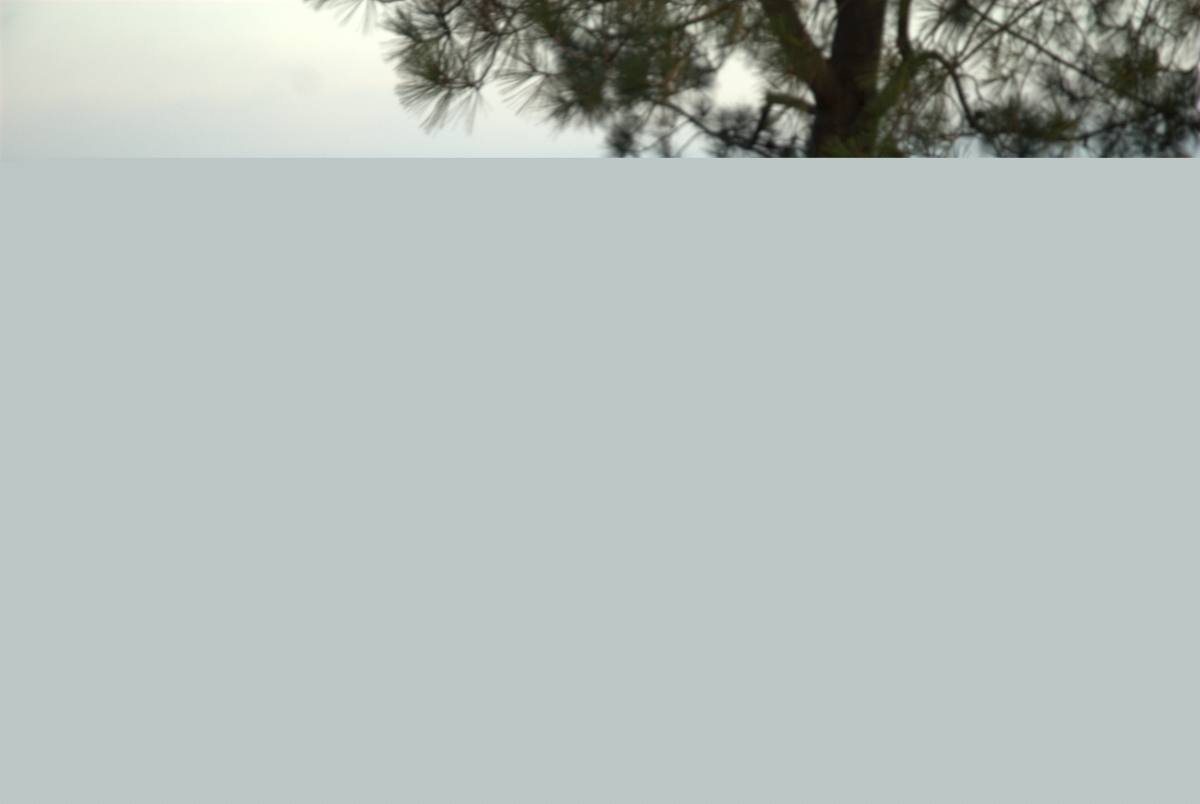 Click to return to the thumbnail index