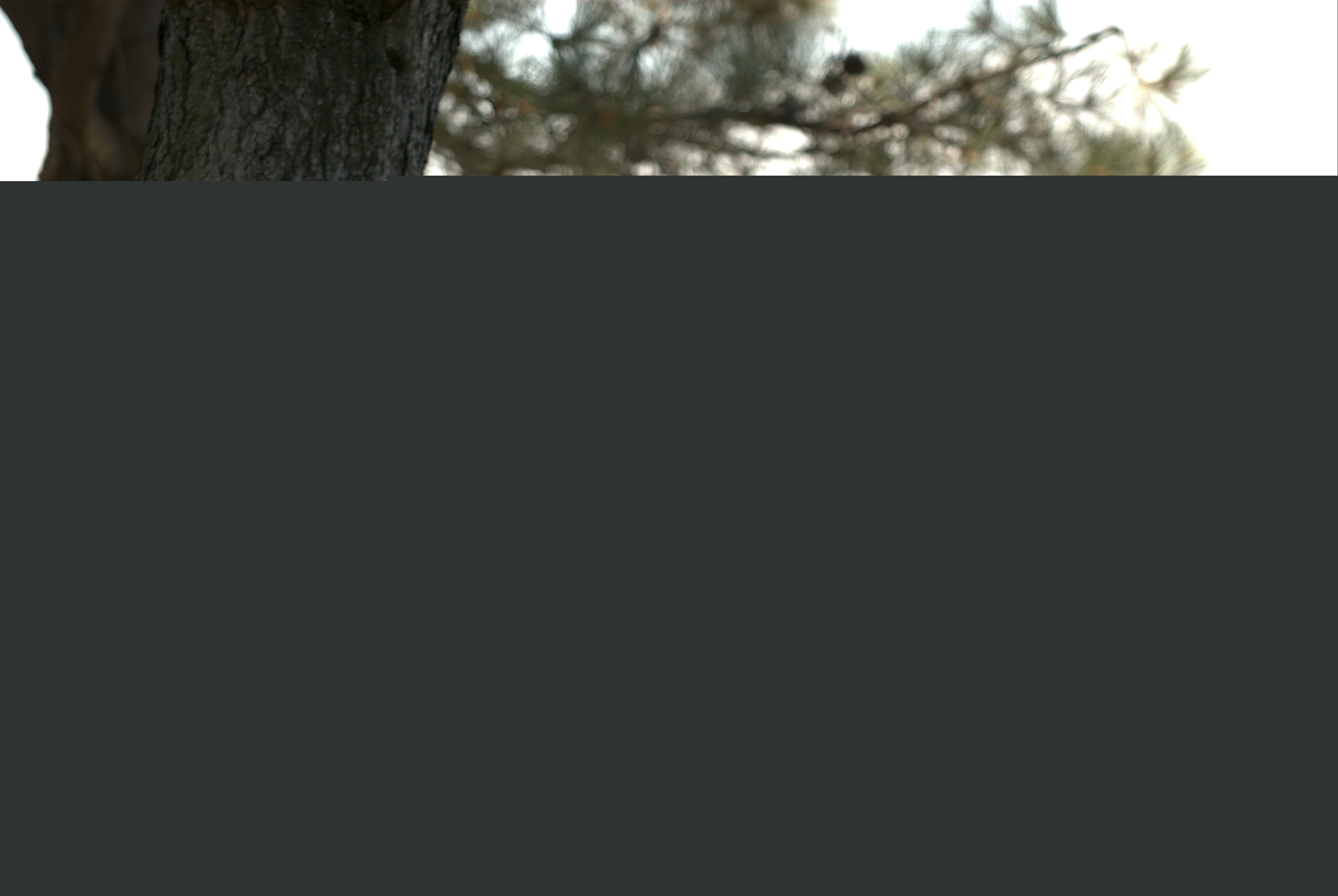 Click to return to the thumbnail index