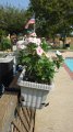 Click for a larger view
