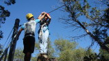 Click for a larger view