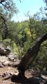 Click for a larger view